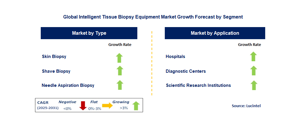 Intelligent Tissue Biopsy Equipment Market by Segment
